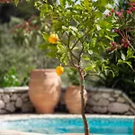 Maison d'hôtes Arapaki Secret Garden, Ground Floor Deluxe Suite, Private Pool, Sauna, Sea View