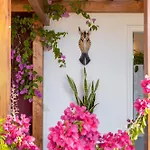 Maison d'hôtes Arapaki Secret Garden, Ground Floor Deluxe Suite, Private Pool, Sauna, Sea View