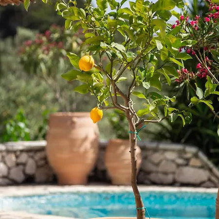 Vendégház Arapaki Secret Garden, Ground Floor Deluxe Suite, Private Pool, Sauna, Sea View