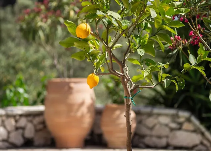 Pensionat Arapaki Secret Garden, Ground Floor Deluxe Suite, Private Pool, Sauna, Sea View